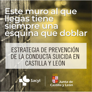 Publicidad institucional