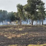 Un incendio en Montuenga desata las críticas del PSOE contra Junta y Diputación