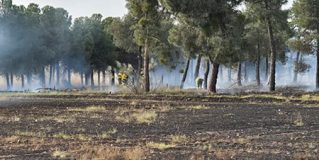 De Vicente sobre el incendio de Montuenga: “Acudimos sin tener ninguna competencia”