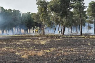 Un incendio en Montuenga desata las críticas del PSOE contra Junta y Diputación