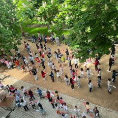 Segovia danza en la calle con el paloteo del CEIP Domingo de Soto