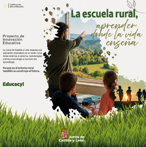 Publicidad institucional Publicidad institucional