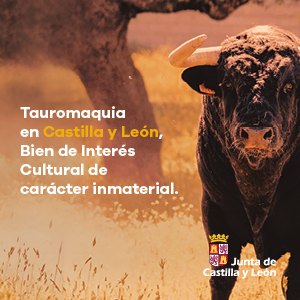 Publicidad institucional