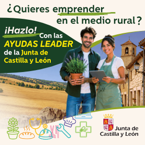 Publicidad institucional