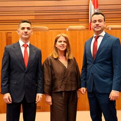 Asignación a comisiones del PSOE de Segovia