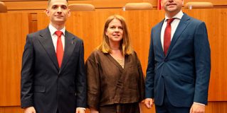 Asignación a comisiones del PSOE de Segovia