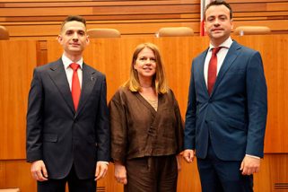 Asignación a comisiones del PSOE de Segovia