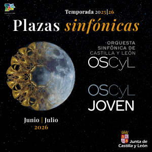 Publicidad institucional