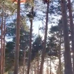 Rescatado un parapentista atrapado a 15 metros de altura en Cerezo de Arriba