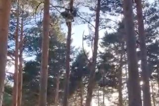 Rescatado un parapentista atrapado a 15 metros de altura en Cerezo de Arriba