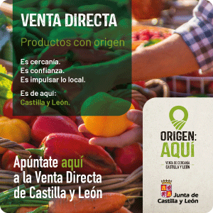 Publicidad institucional