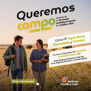 Publicidad institucional Publicidad institucional